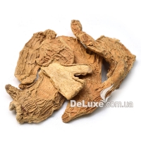 Корень имбиря свежего урожая